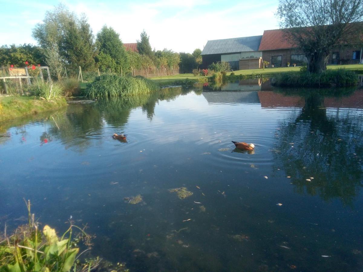 Gite canard Fromelles Exterior foto